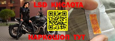 MDMA Premium VHQ Камышлов