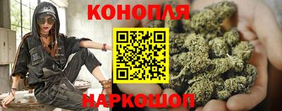 спиды Канаш