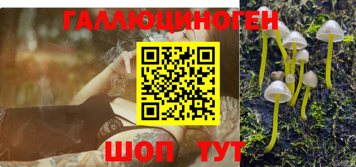 Псилоцибиновые грибы Psilocybine cubensis Электросталь
