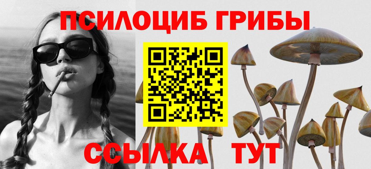 Электросталь  Псилоцибиновые грибы прущие грибы  Вход с VPN 